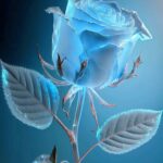 ggghh的头像-ACG学习网